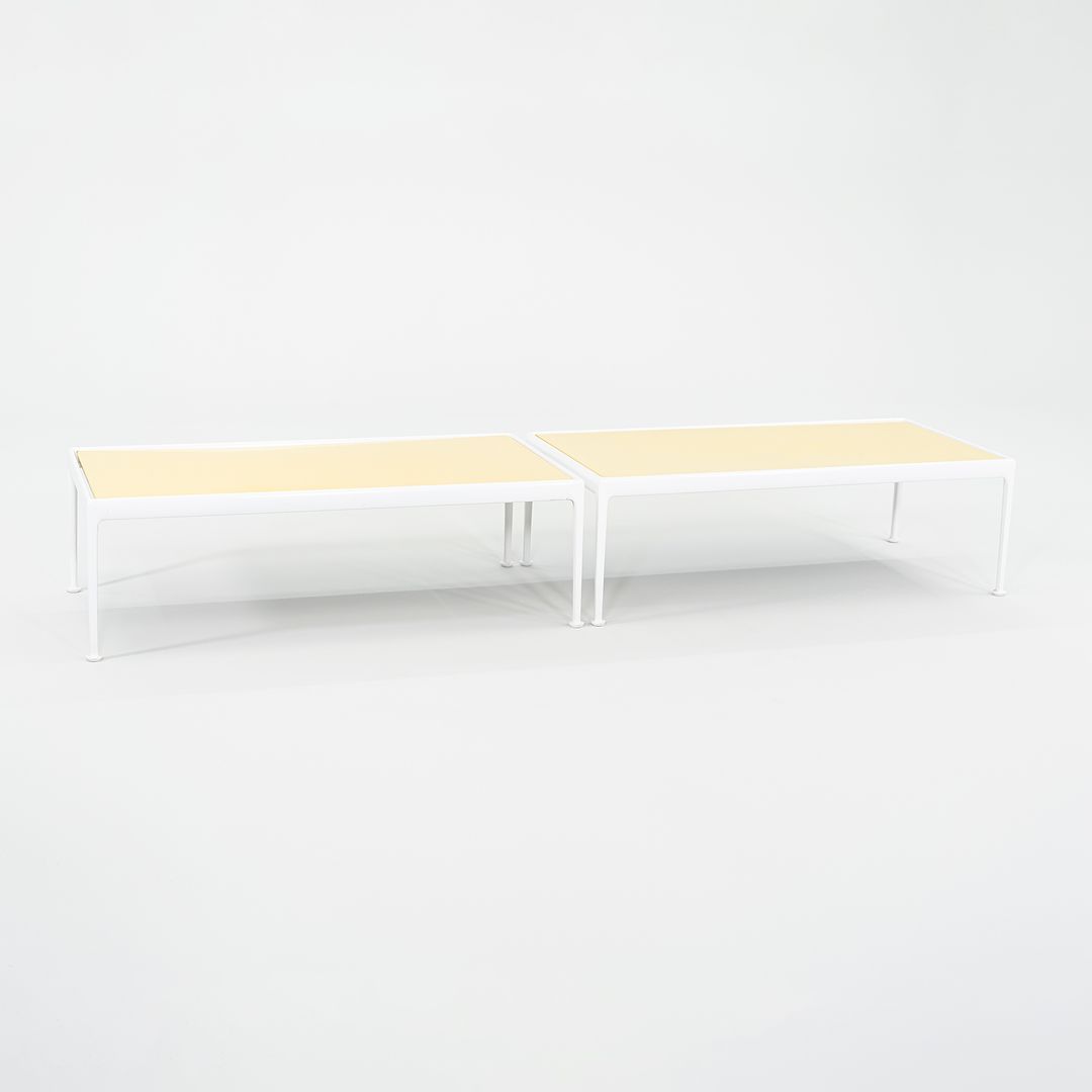 1970s Richard Schultz for Knoll 1966 Collection Coffee Table 24 x 48, 2x Available