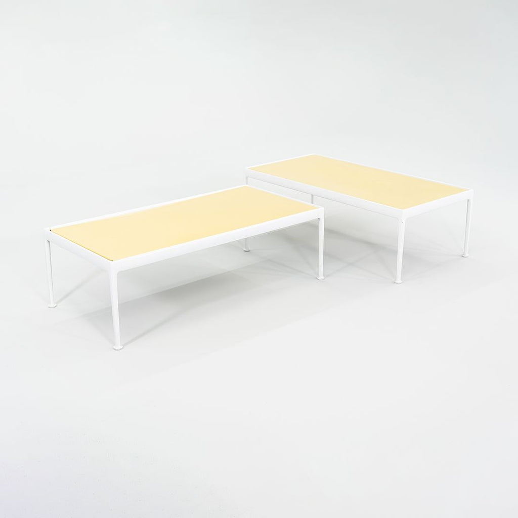 1970s Richard Schultz for Knoll 1966 Collection Coffee Table 24 x 48, 2x Available